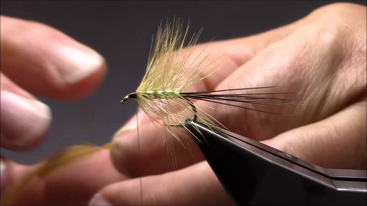 Golden Olive Wet Mayfly