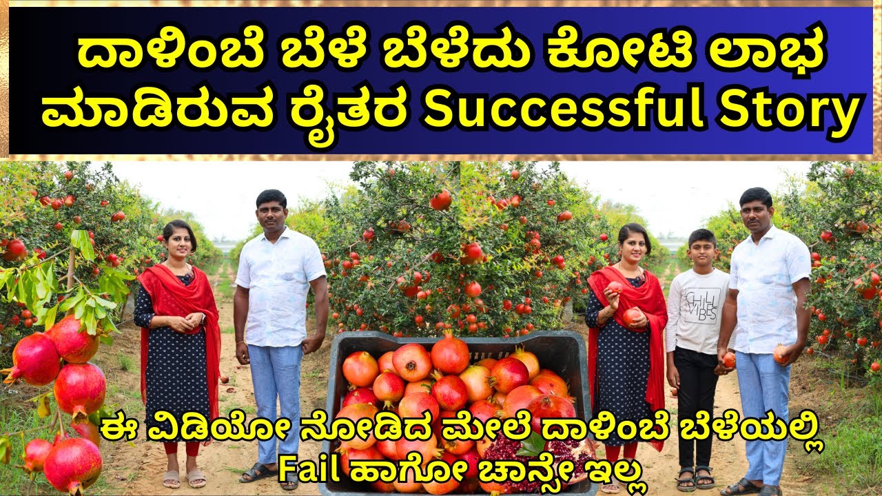 ದಾಳಿಂಬೆ ಬೆಳೆ ಬೆಳೆದು ಕೋಟಿ ಲಾಭ ಮಾಡಿರುವ ರೈತ... ರೈತ ಮನಸ್ಸು ಮಾಡಿದರೆ ಏನನ್ನಾದರೂ ಸಾಧಿಸಿ ತೋರಿಸಬಹುದು #farming