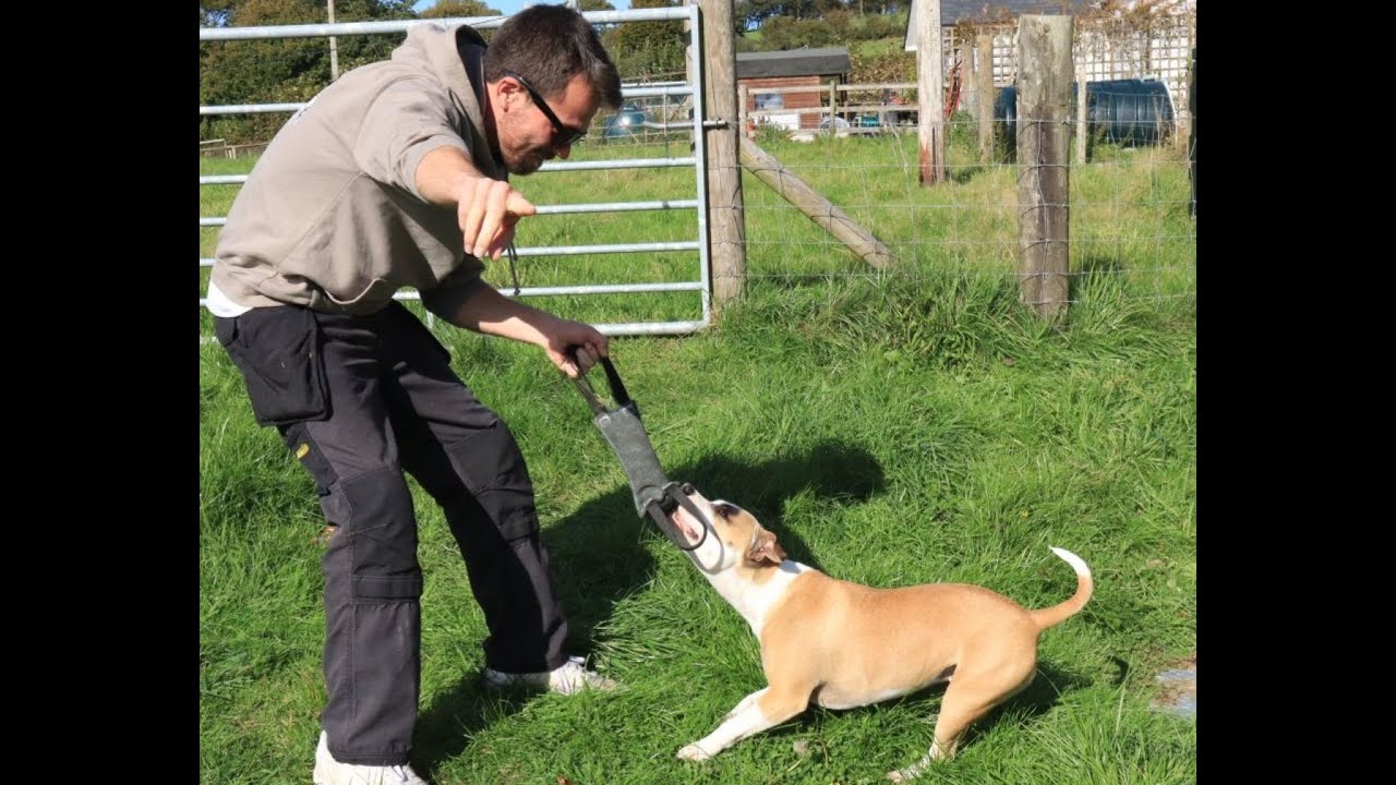 Play Session with Solo!