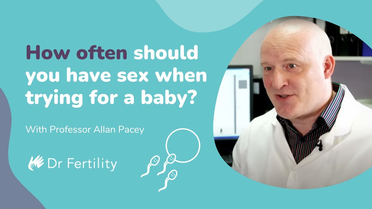 How Often Should You Have Sex When Trying For A Baby? | #spermbanter | Dr Fertility