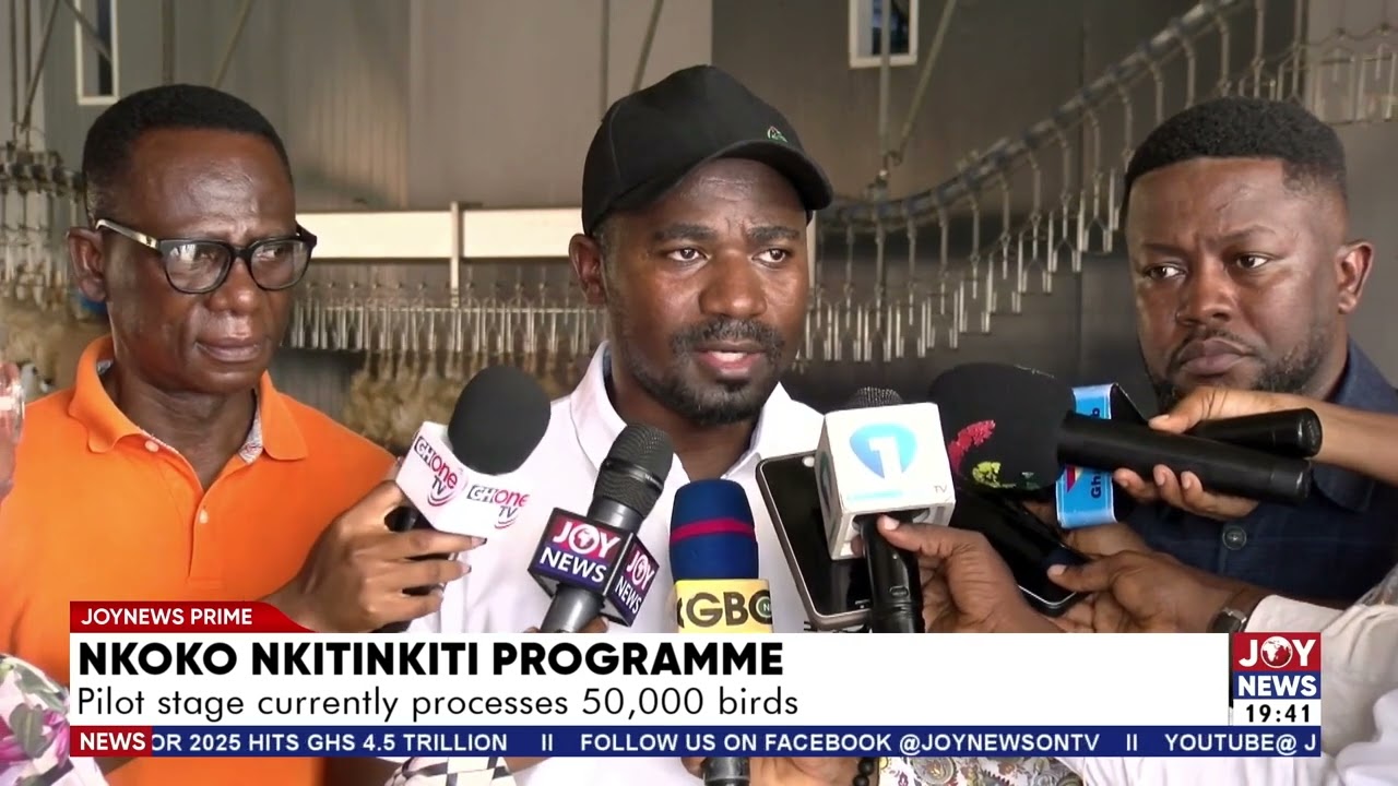 Nkoko Nkitinkiti Programme: Pilot stage currently processes 50,000 birds.