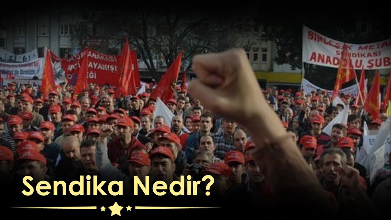 Sendika Nedir 1. B&ouml;l&uuml;m (Sendika , Sendika t&uuml;rleri, Neden Sendikalaşmalıyız?)