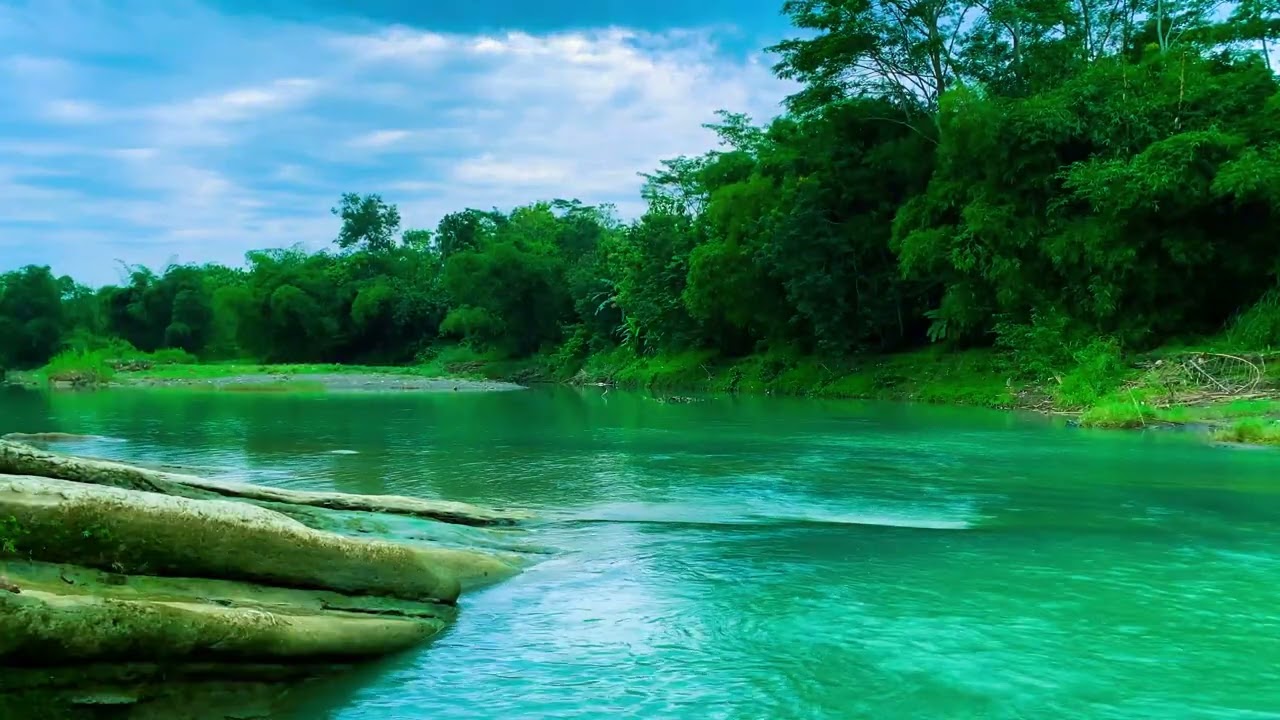 [ 4K UHD ] ASMR Deep Sleep: Natural River Sounds for Insomnia Relief & Anxiety 🎧 (1 Hour Seamless)