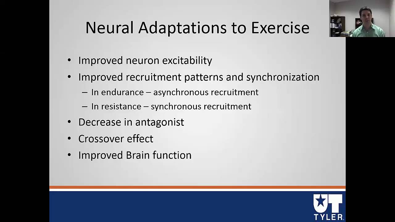 Neural Adaptations