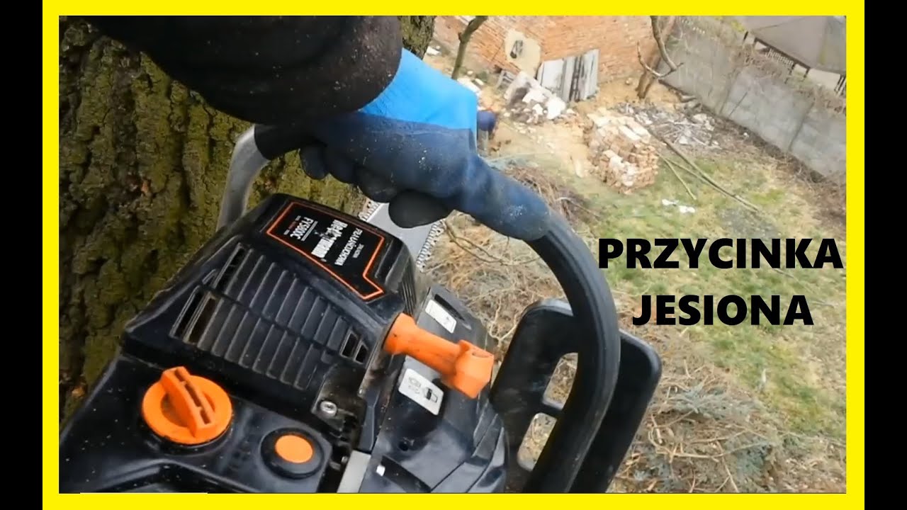 039. Przycinka Jesiona. #wycinkadrzew #ogrodnictwo #starydom