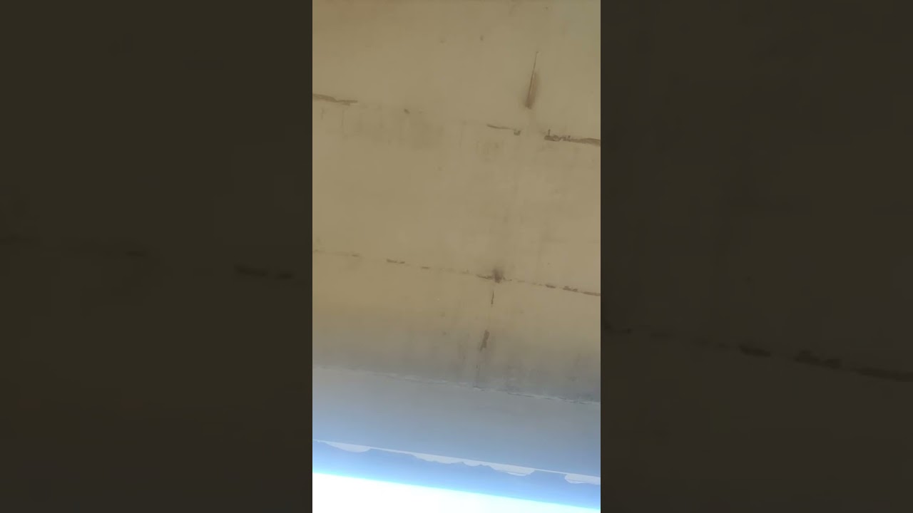 लाइव हाइलाइट