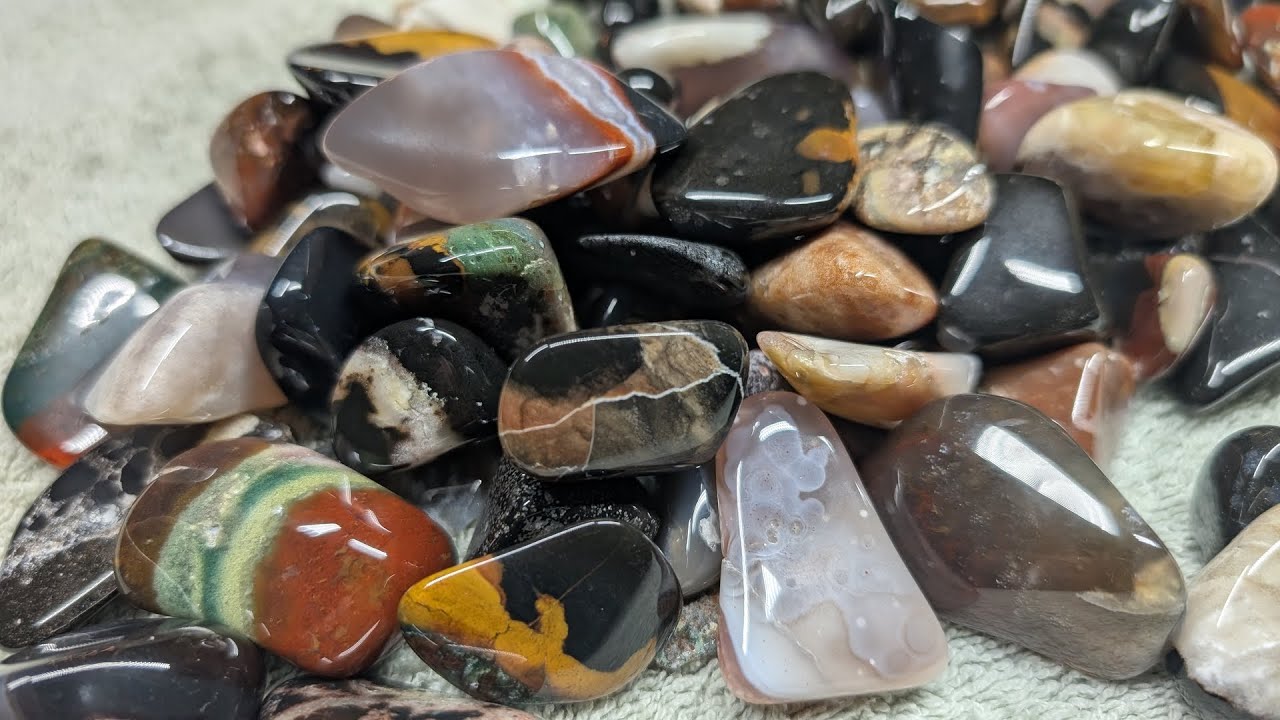 Sardonyx are fun, crazy, and....so random.