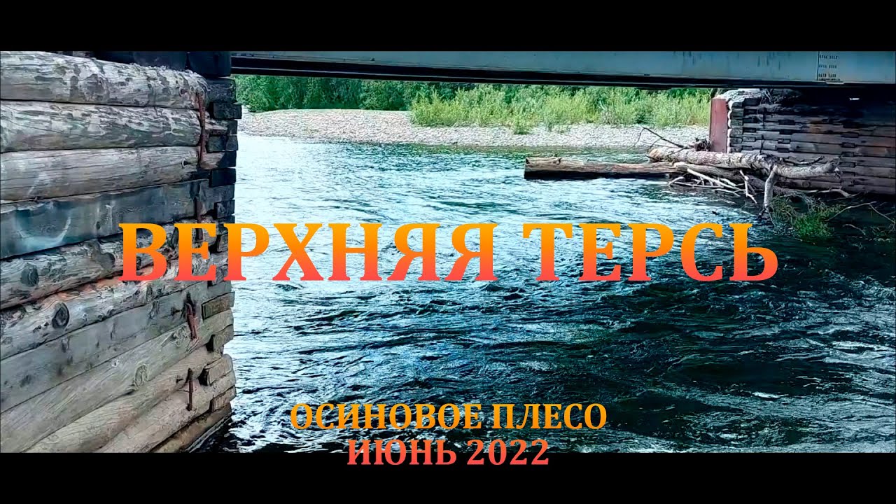 Верхняя Терсь. Осиновое Плесо. Июнь 2022