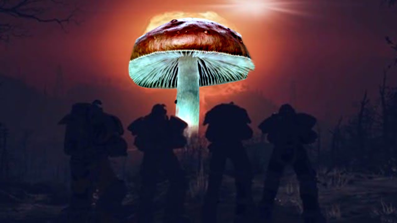 Fallout New Vegas