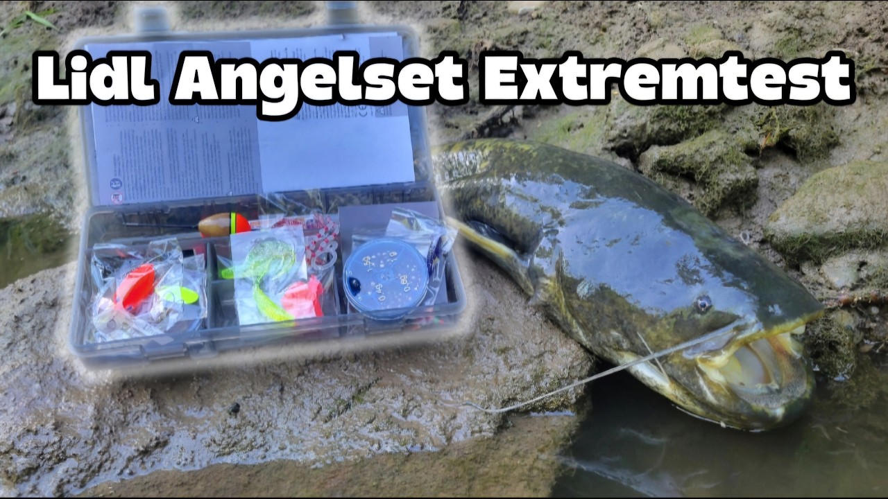 LIDL- Angelset im Extremtest - Hält es dem Wels stand?!