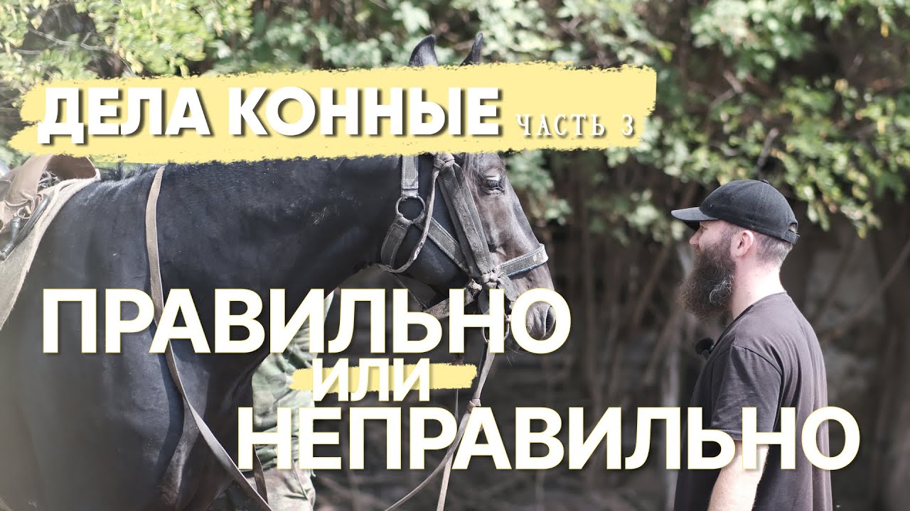 Александр Обжерин: философия успешного конного коммерсанта. Часть3