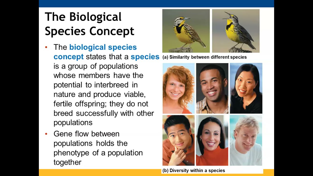 Chapter 24: The Origin of Species