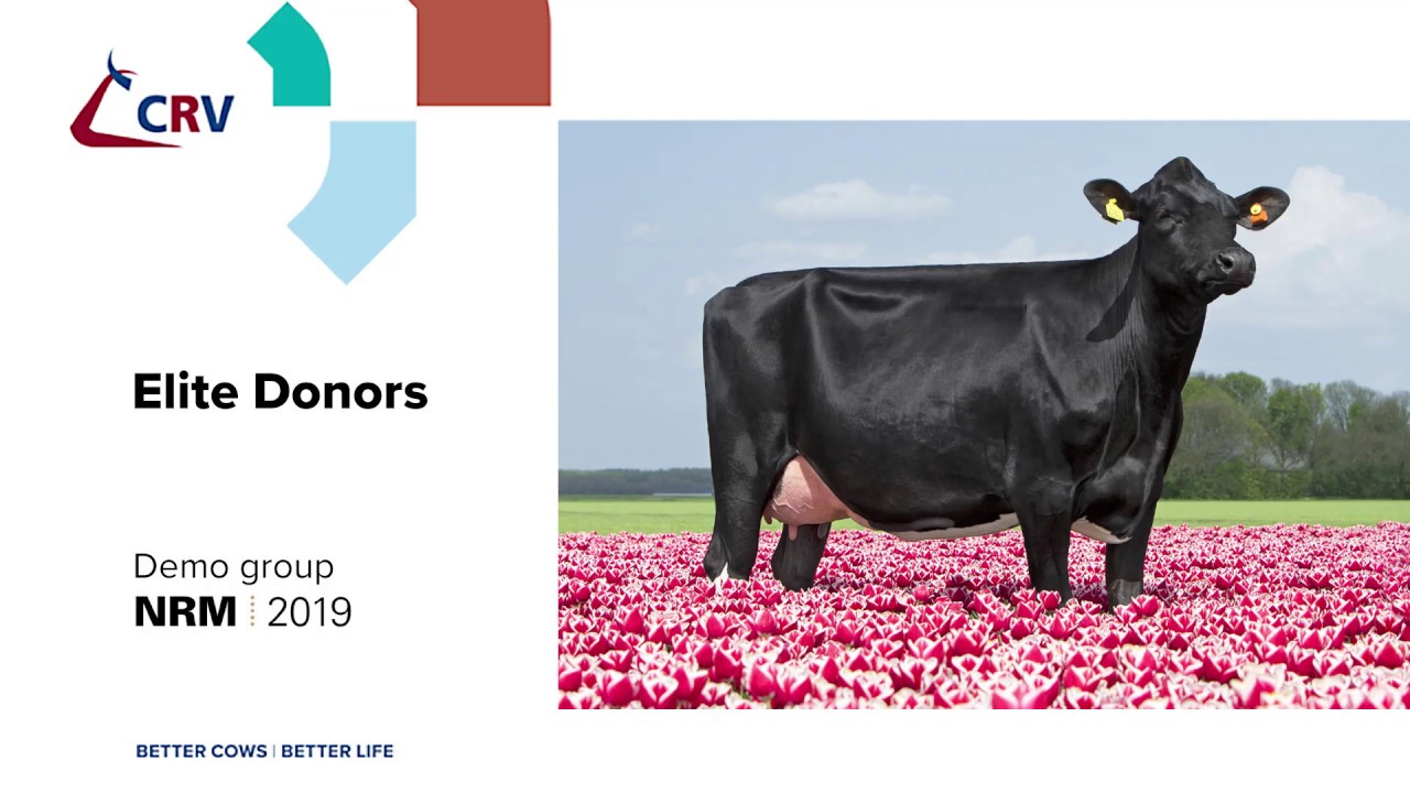 CRV Elite Donors NRM 2019