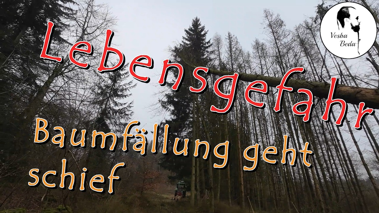 Baumfällung geht schief
