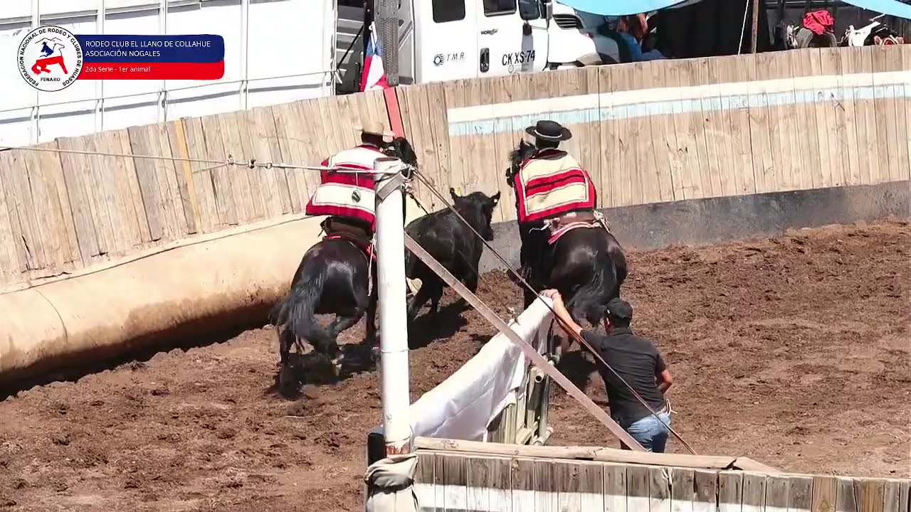 Rodeo Club El Llano de Collahue. Asc. Nogales - Segunda Serie P2