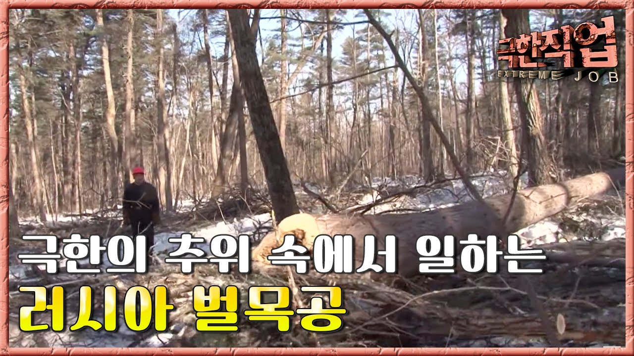 극한직업 - Extreme JOB, 러시아 겨울 벌목공 제1부