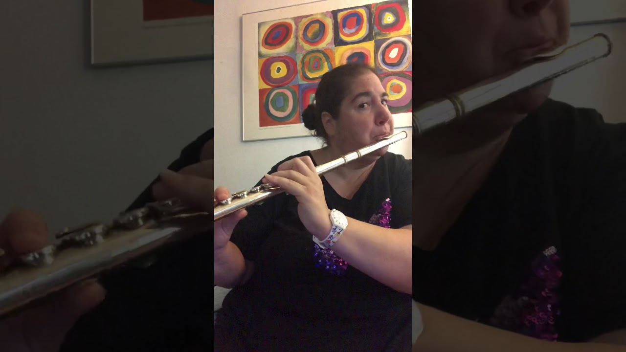 Smooth Operator by Sade, flute cover