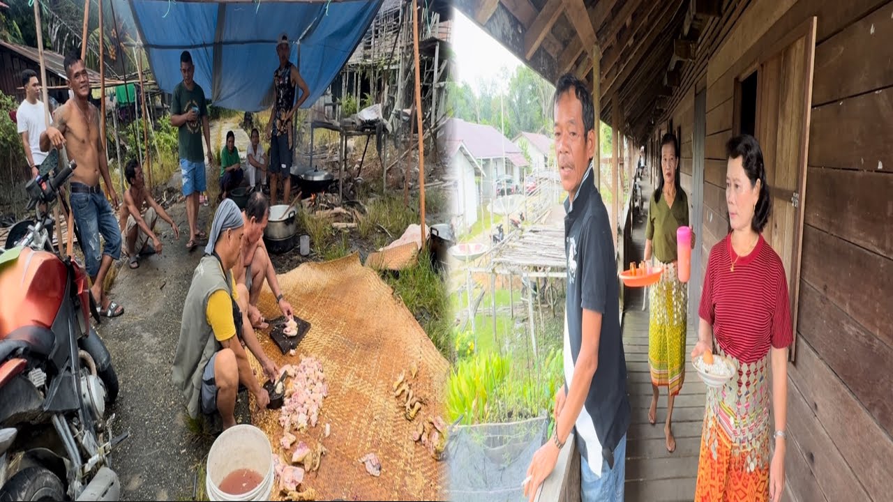 Suasana Keramaian Di Kampung Menyambut Tamu Acara Pertunangan Suku Dayak Iban Kalimantan 