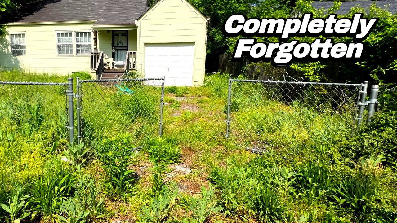 Homeowner Passed Away and No One Touched Her Lawn — Until I Showed Up