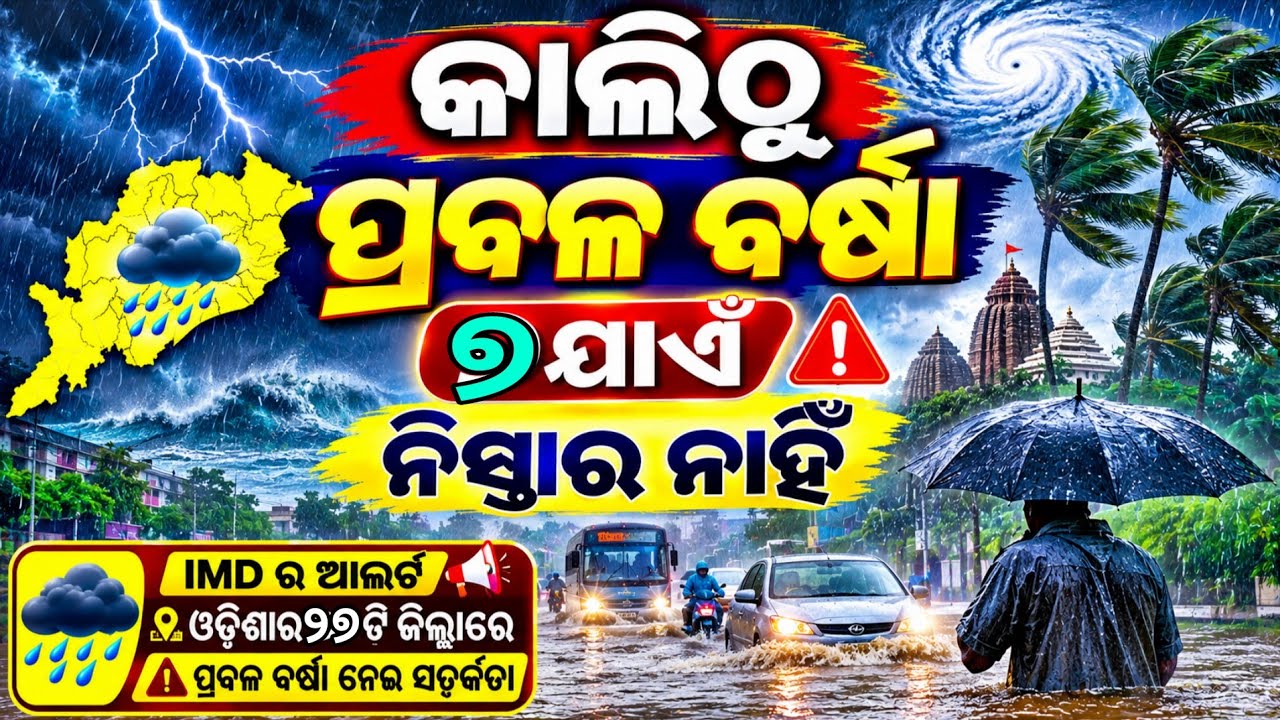Heavy Rainfall in Odisha Today | Low Pressure Update | IMD Issues Yellow Warning in 21 Districts