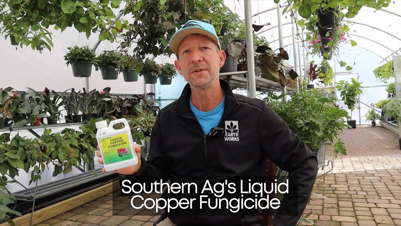 Southern Ag Liquid Copper Fungicide