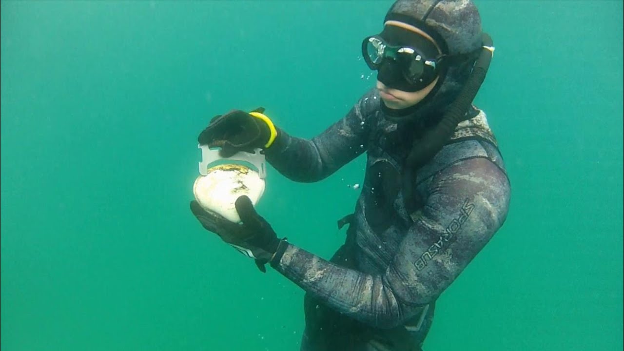 How To Dive For Pismo Clams.