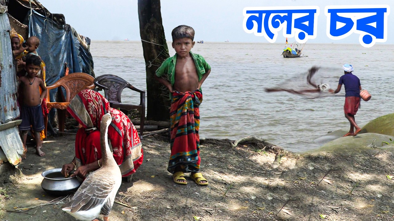 মেঘনা মোহনার জলেভাসা হাতিয়ার নলের চর || Panorama Documentary
