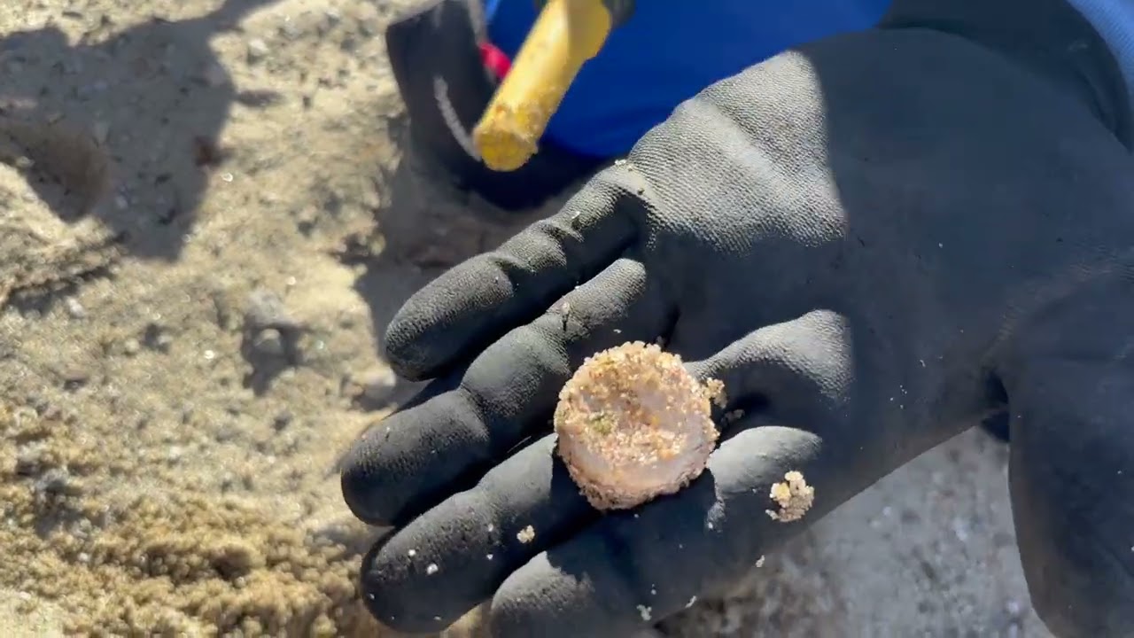 HABIA MUCHAS MARCAS EN ESTA PLAYA!