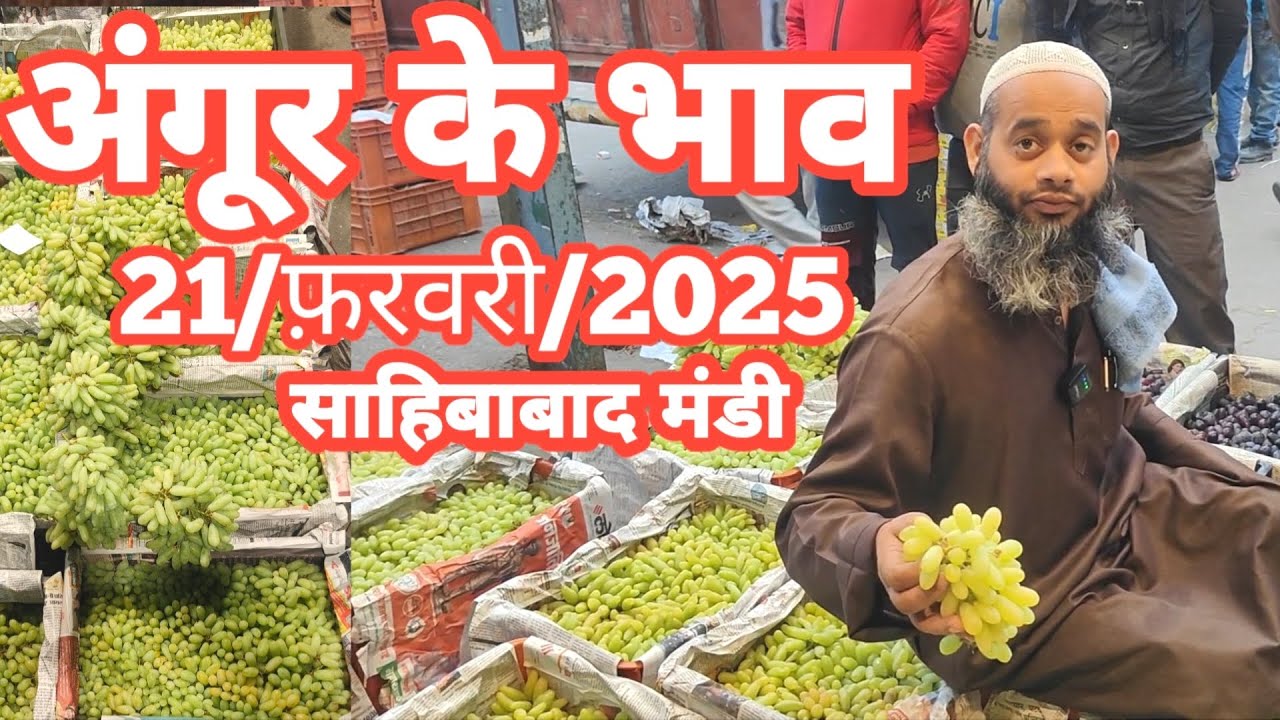 21/फ़रवरी/2025 🍇 अंगूर का भाव साहिबाबाद मंडी | today grapes rates #angoor #grape #fruit #mandirates