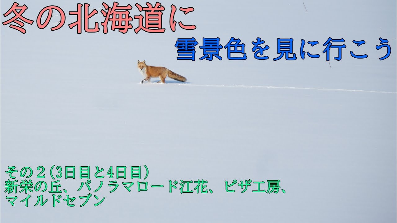 冬の北海道に雪景色を見に行こう その２(3日目と4日目)新栄の丘、パノラマロード江花、ピザ工房、マイルドセブン