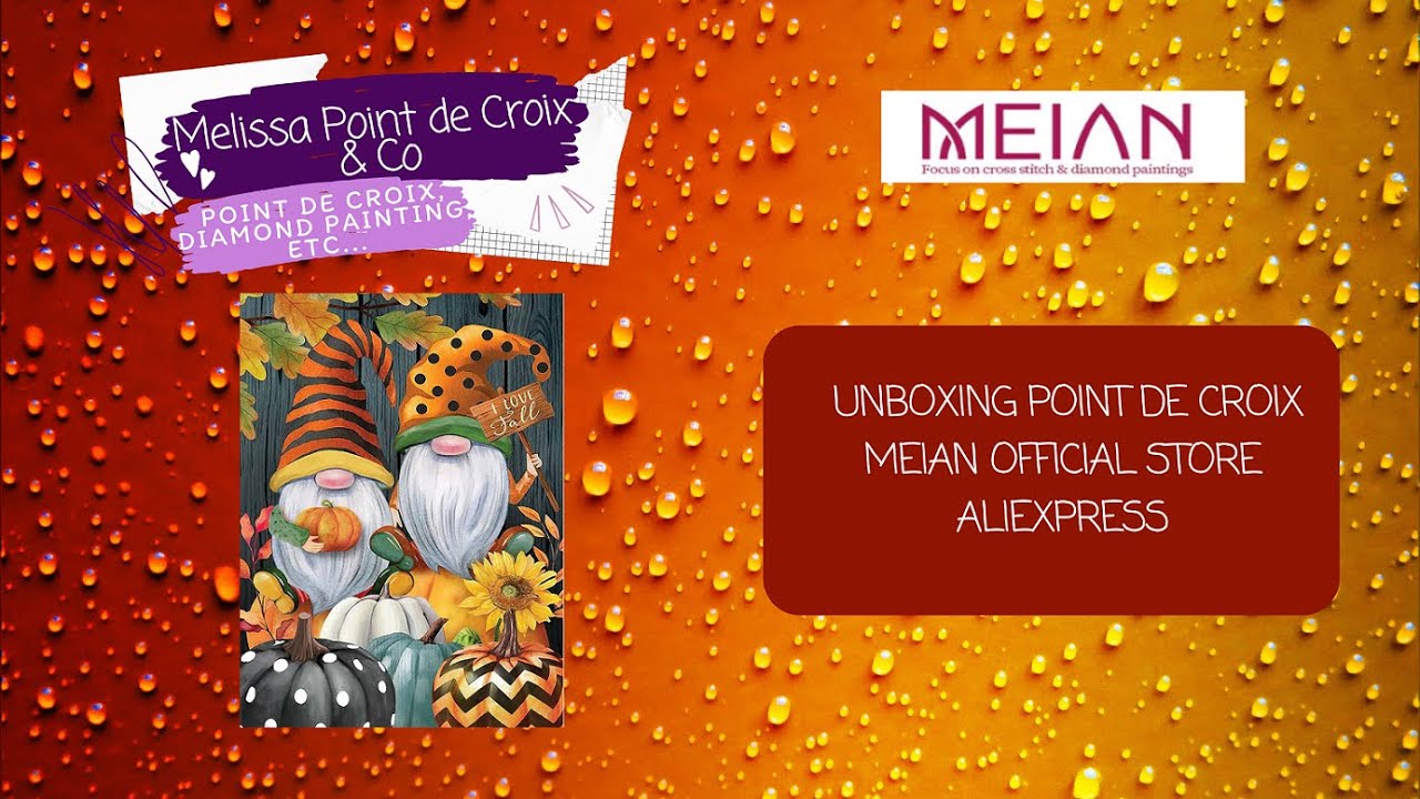 ✨Unboxing Point de Croix Meian Official Store : une jolie toile automnale ! 🍁✨