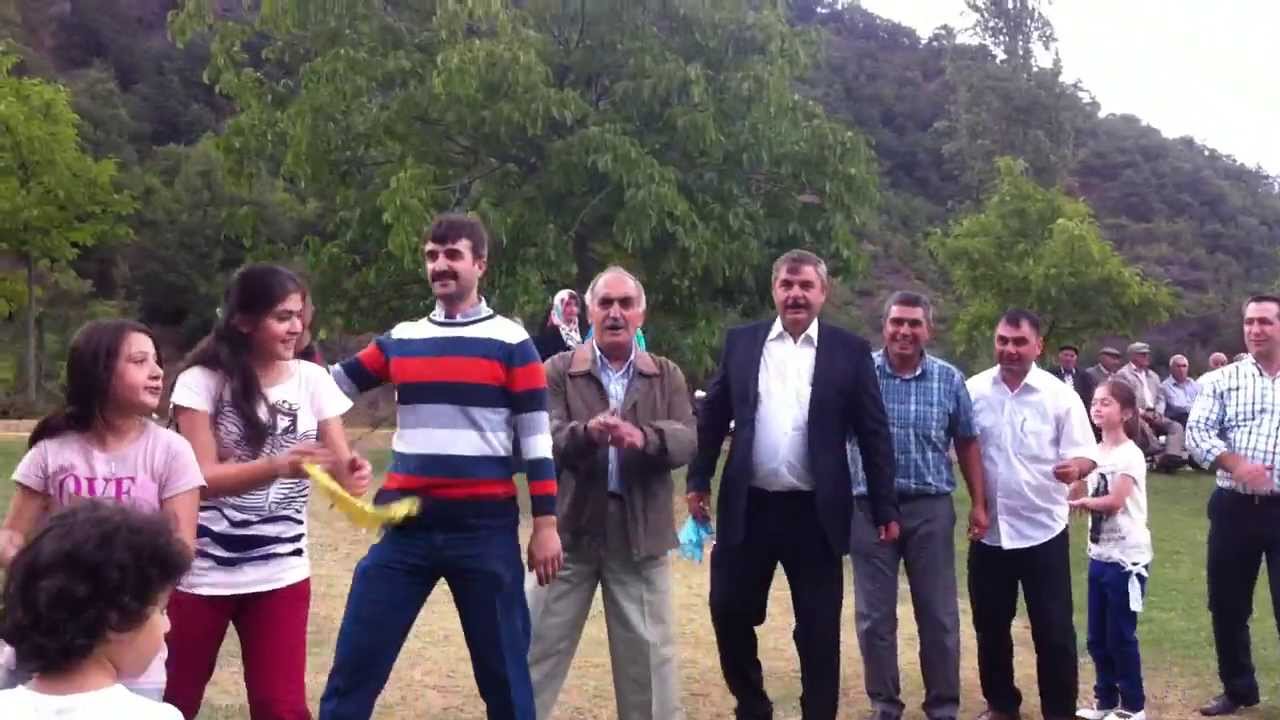şenlik