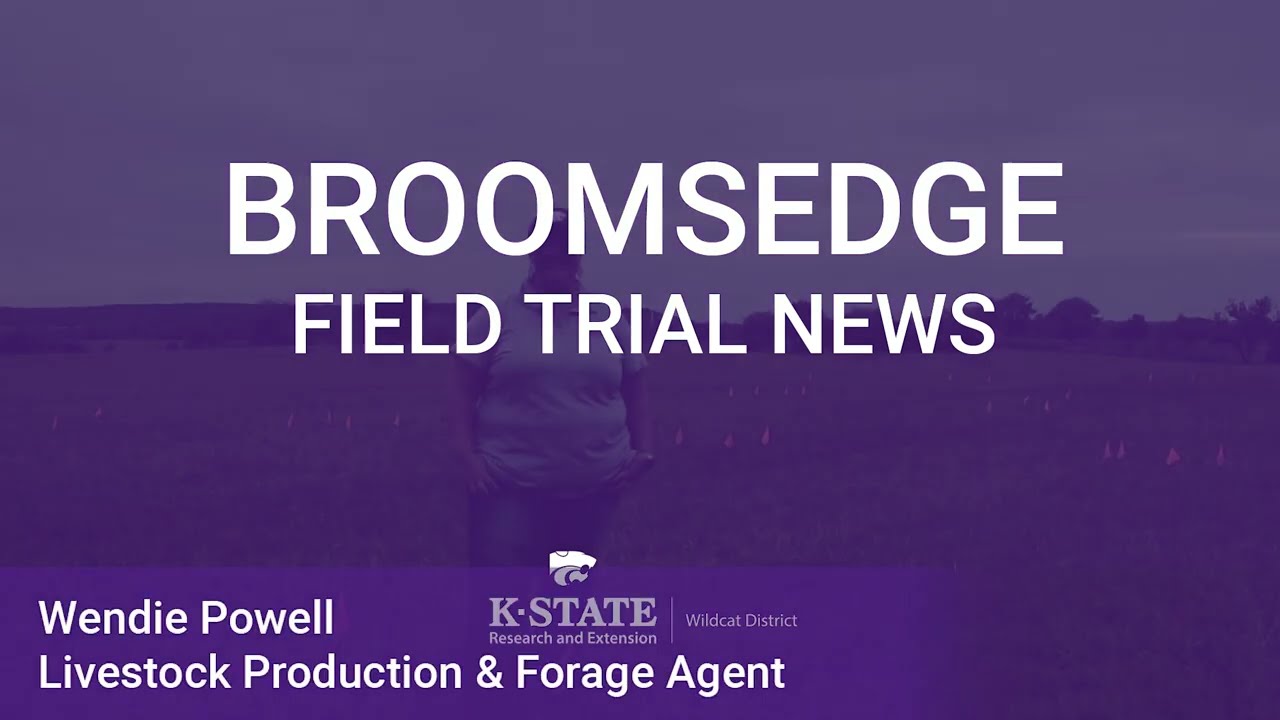 Broomsedge Field Trial News