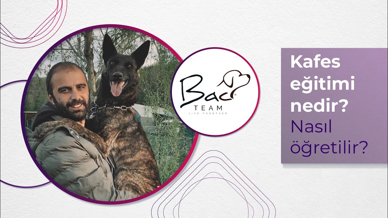 KAFES EĞİTİMİ NEDİR? NASIL ÖĞRETİLİR?