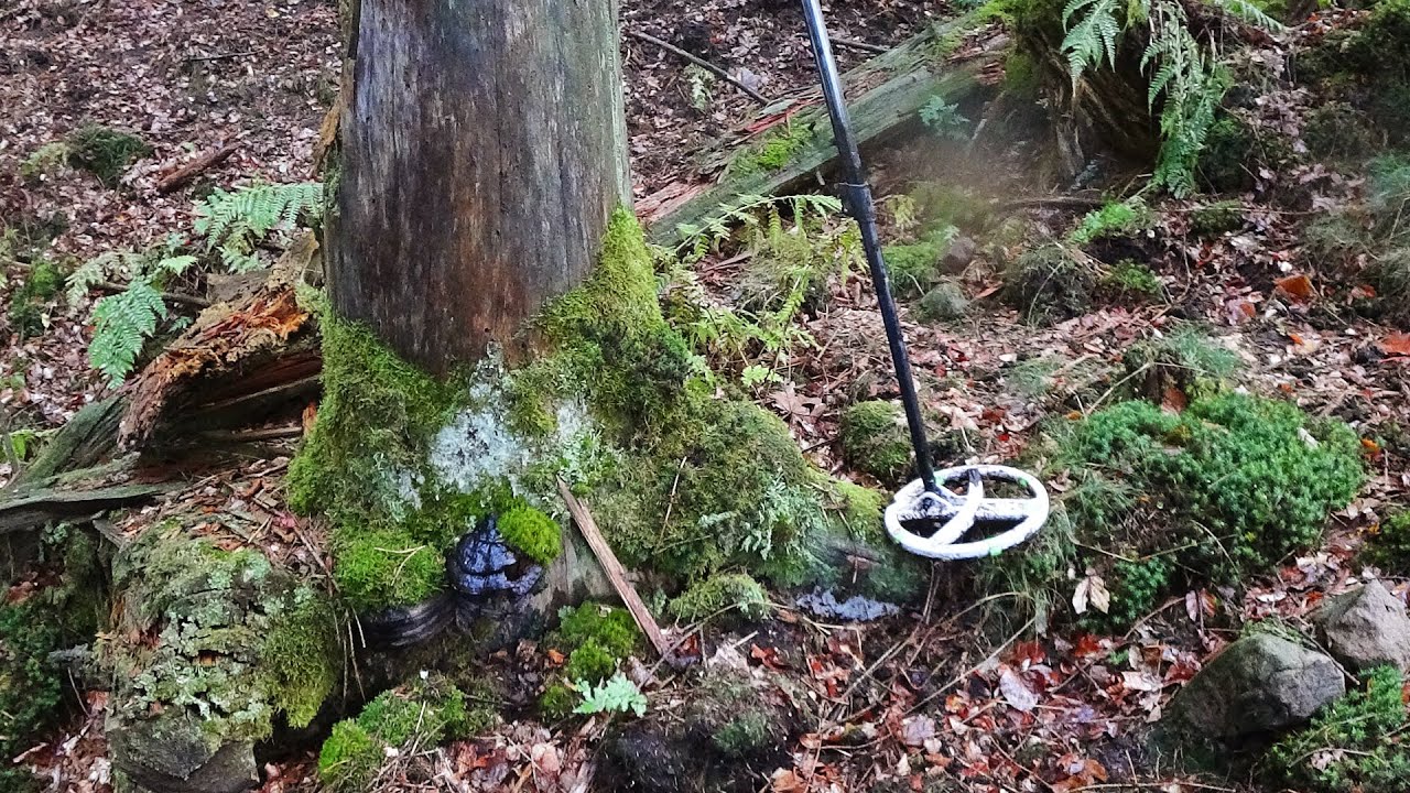 Big Surprise Under The Root! - Metal Detecting With Unexpected Finds