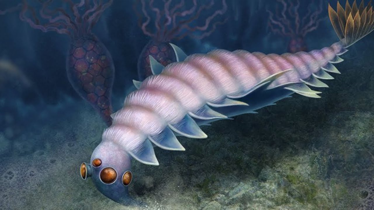 Weird, Extinct Animal Species Identified in First Such Finding in Over 100 Years