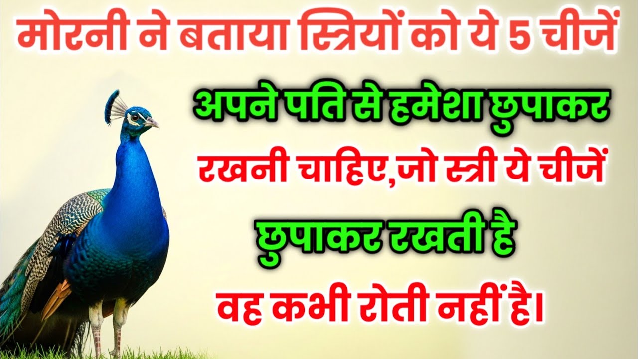 मोरनी ने बताया स्त्रियों को ये 5 चीजें अपने पति से हमेशा छुपाकर रखनी चाहिए,जो स्त्री ये चीजें छुपा..