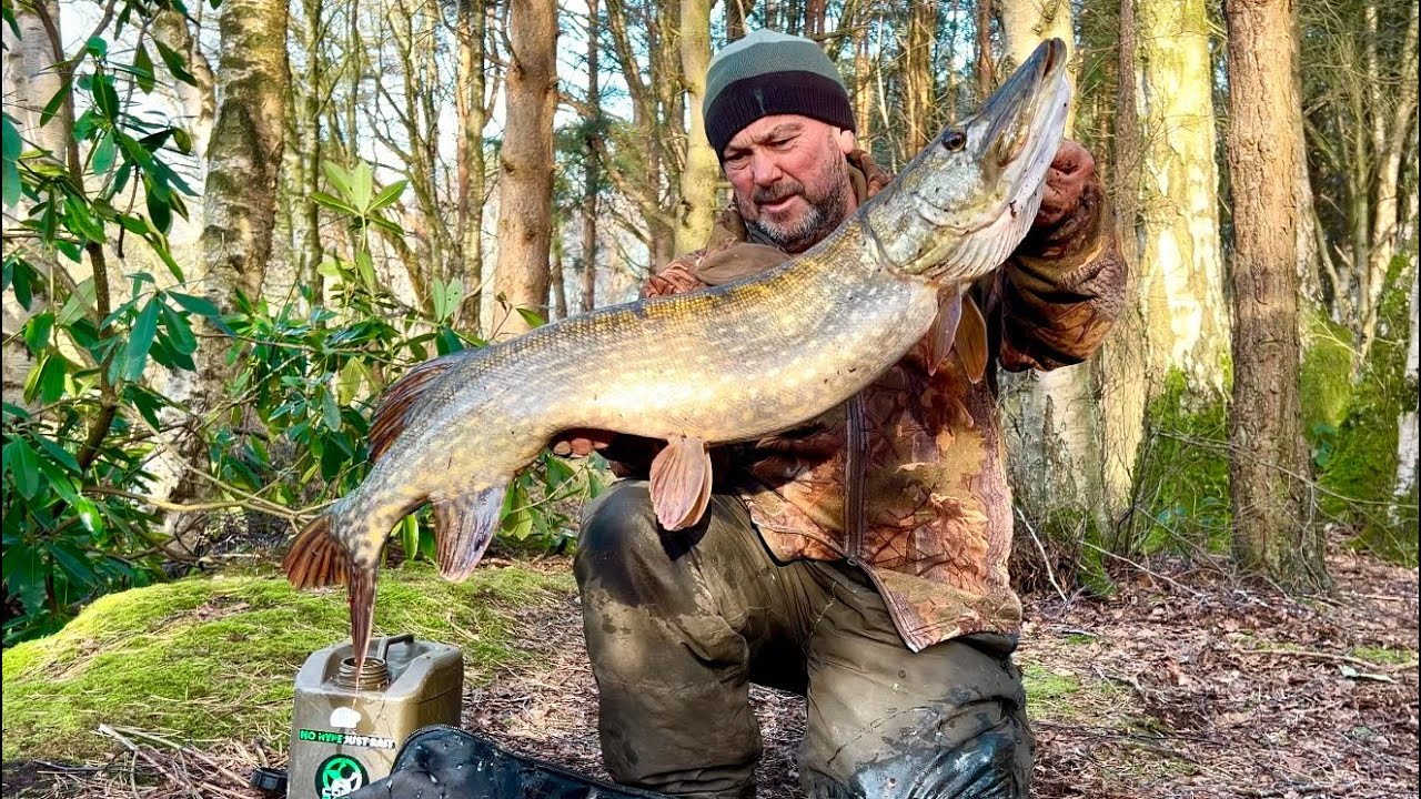 Pike fishing. Storm eowyn turns the big girls on
