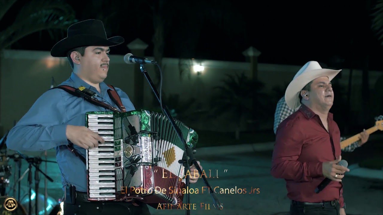 El Potro De Sinaloa Ft. Canelos Jrs - El Jabali (En Vivo 2018)