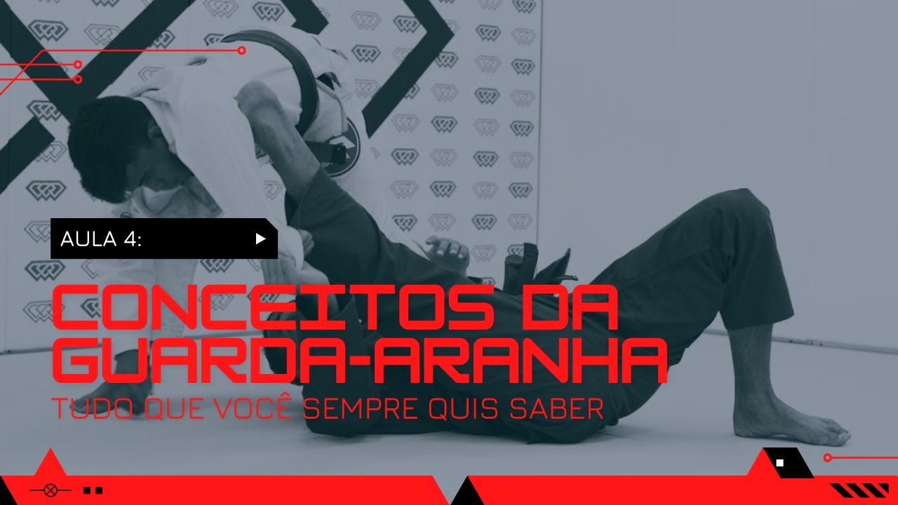 OS PRINCÍPIOS DA GUARDA ARANHA 4