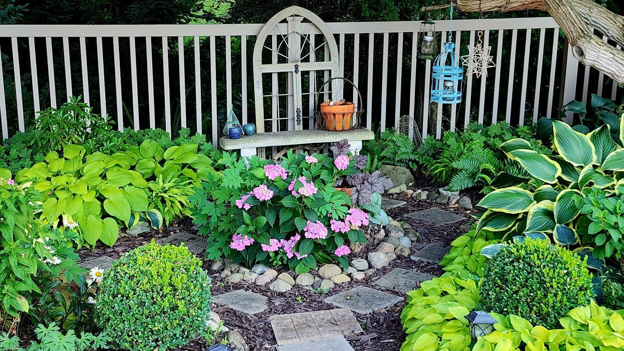 Weekly Walkabout & Garden Tour 🌿🌺🌸