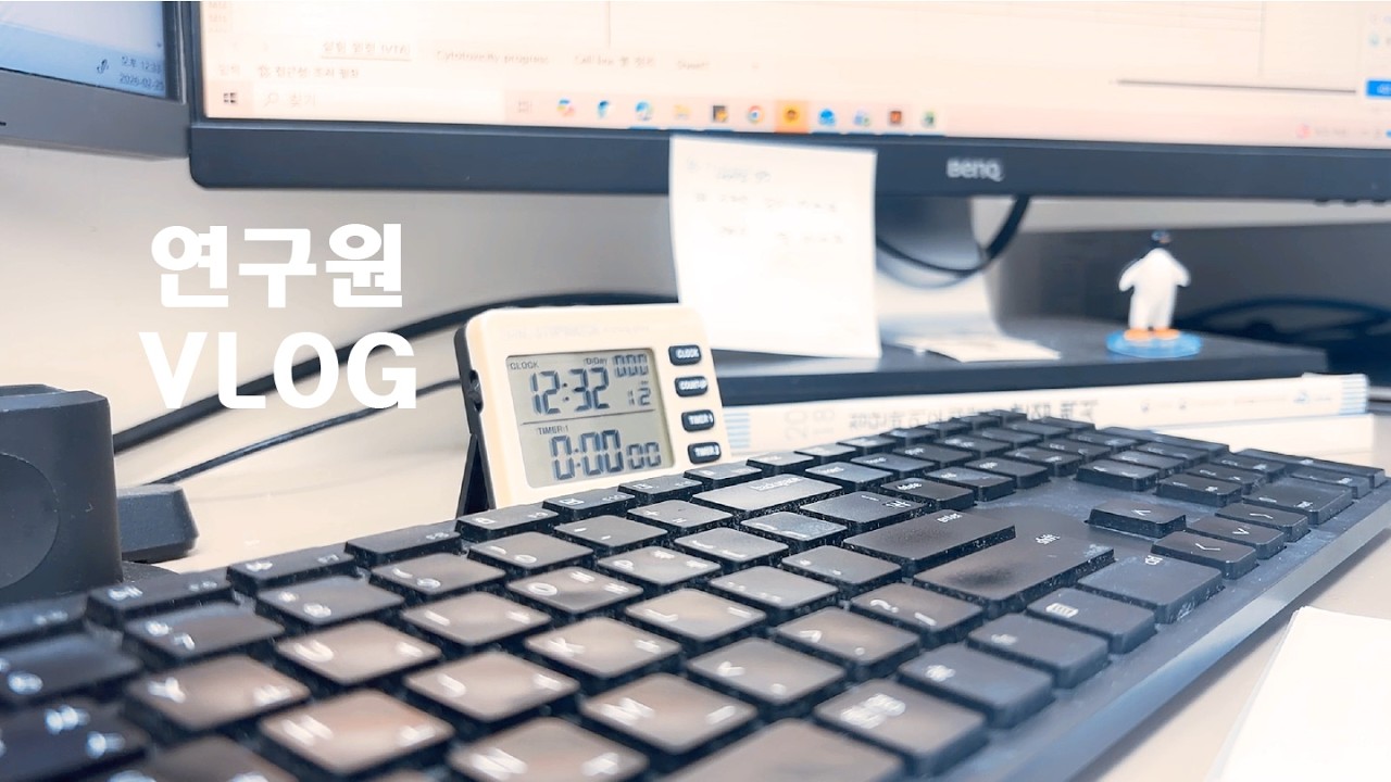 VLOG. 제약 연구원 브이로그 l 크로스핏 그리고 고양이 l 인스타360 언박싱