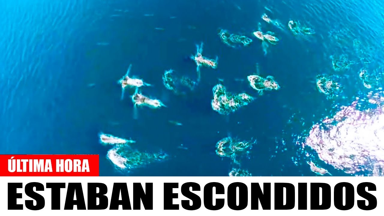 Un Dron Hizo Un Descubrimiento Escalofriante En Medio De La Nada