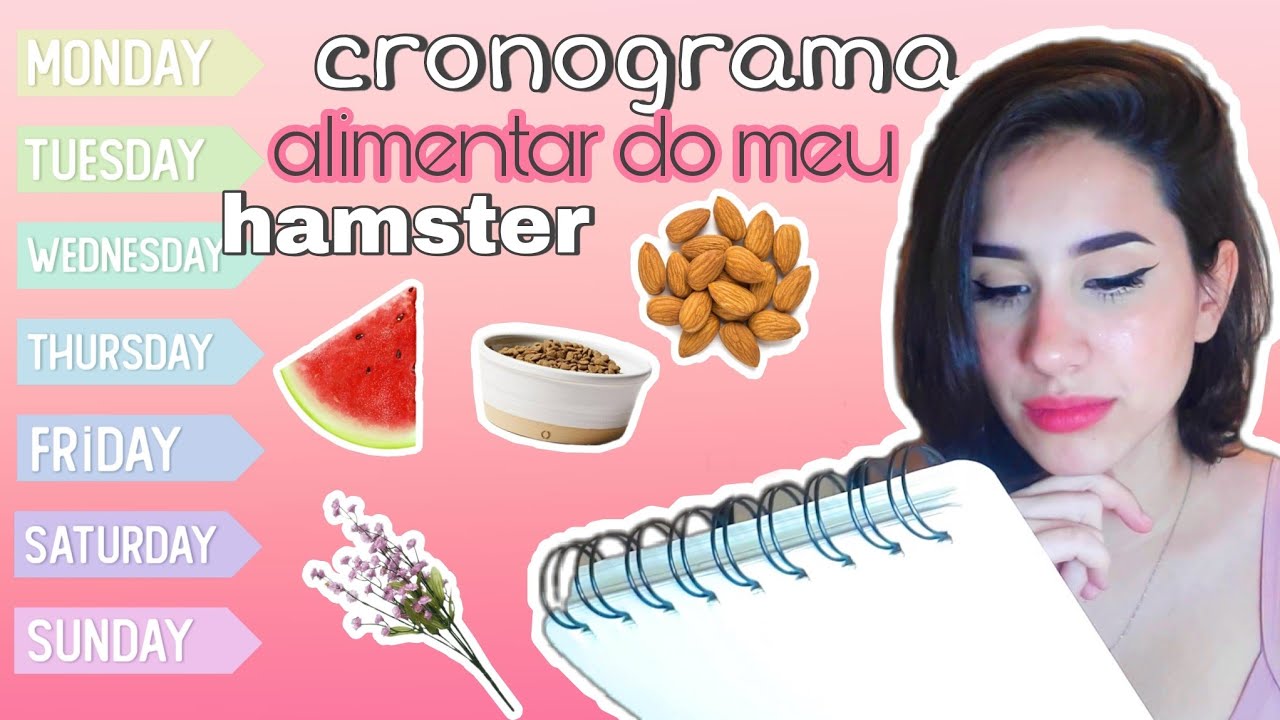 A ROTINA ALIMENTAR DO MEU HAMSTER: Mostrei tudo que meu hamster comeu por uma semana.