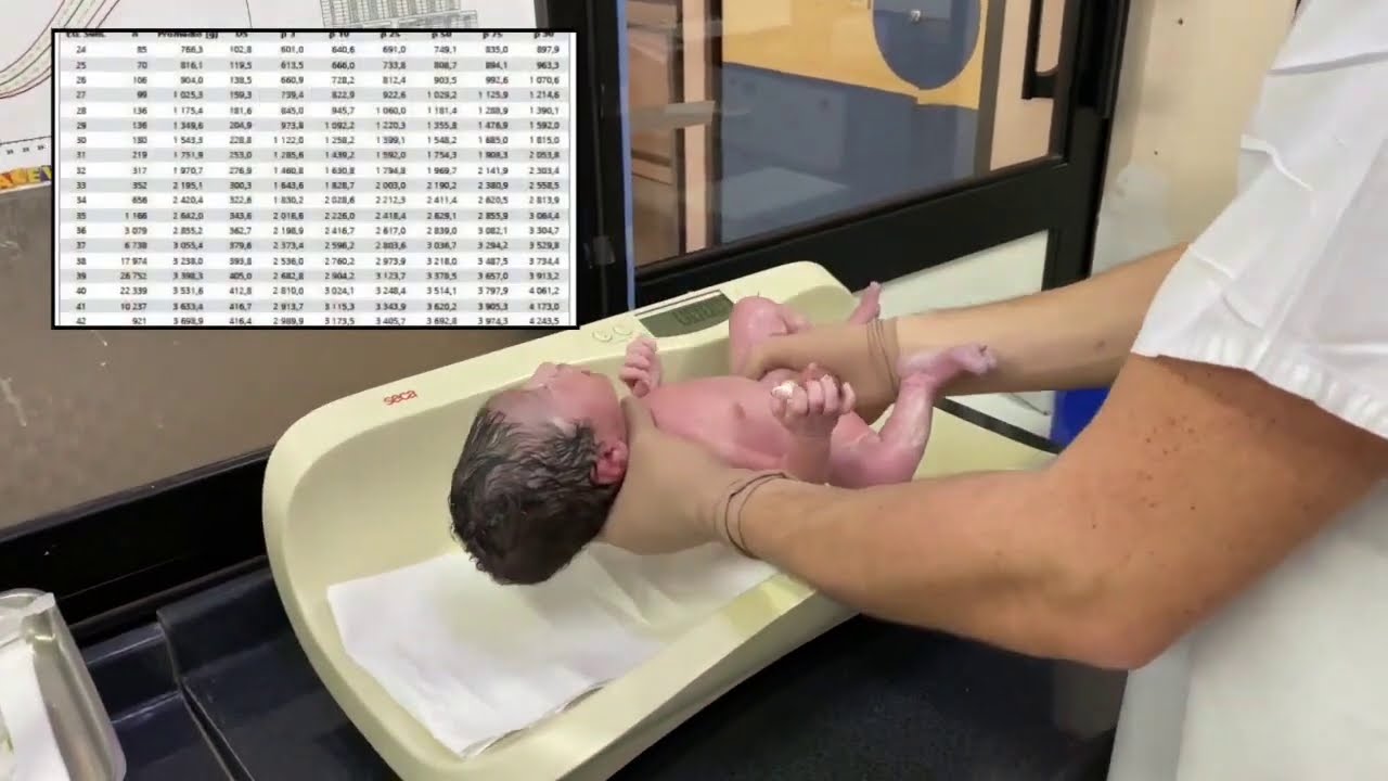 Antropometría del recién nacido -  Escuela de Obstetricia