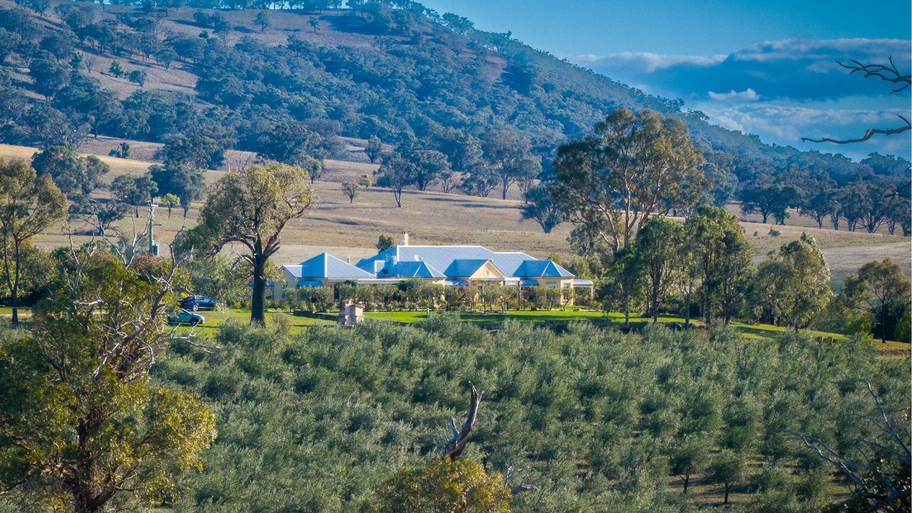 For Sale | Rylstone Olive Press