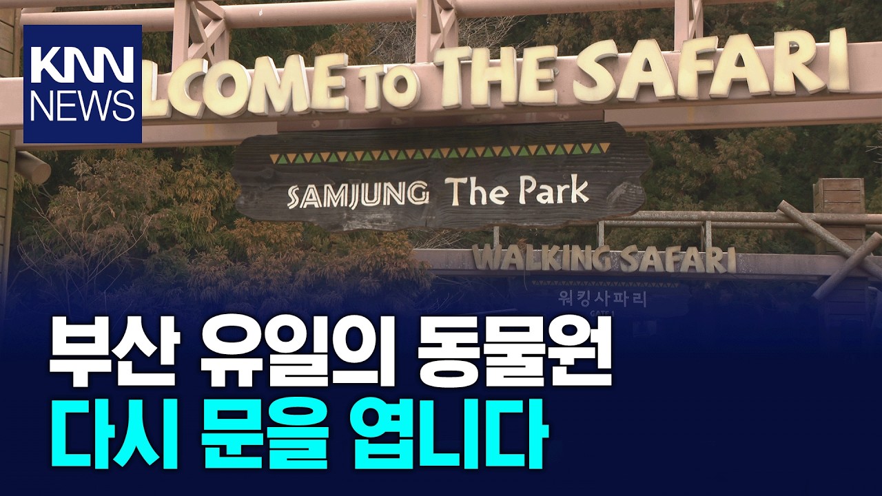 부산 삼정더파크 공립동물원으로 새 개장 / KNN