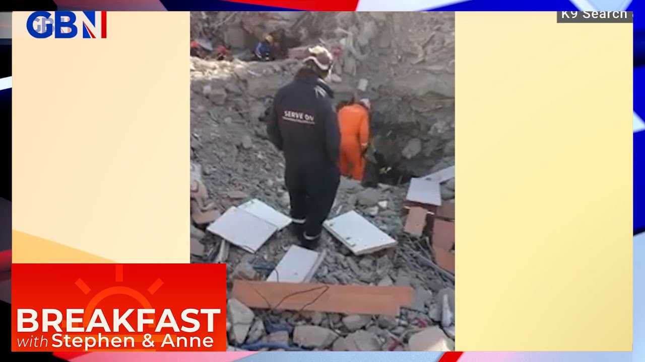 Dog saved woman trapped below SEVEN-STORY BLOCK in Turkey