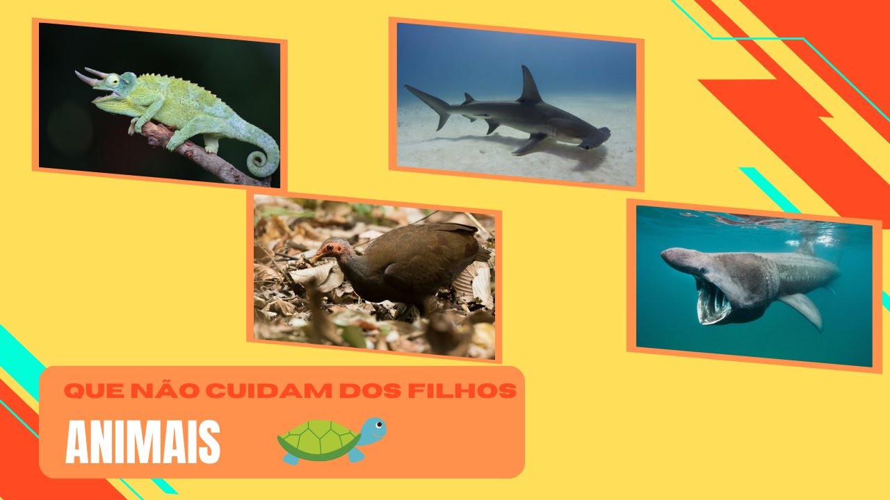 ANIMAIS QUE N&Atilde;O CUIDAM DOS SEUS FILHOS