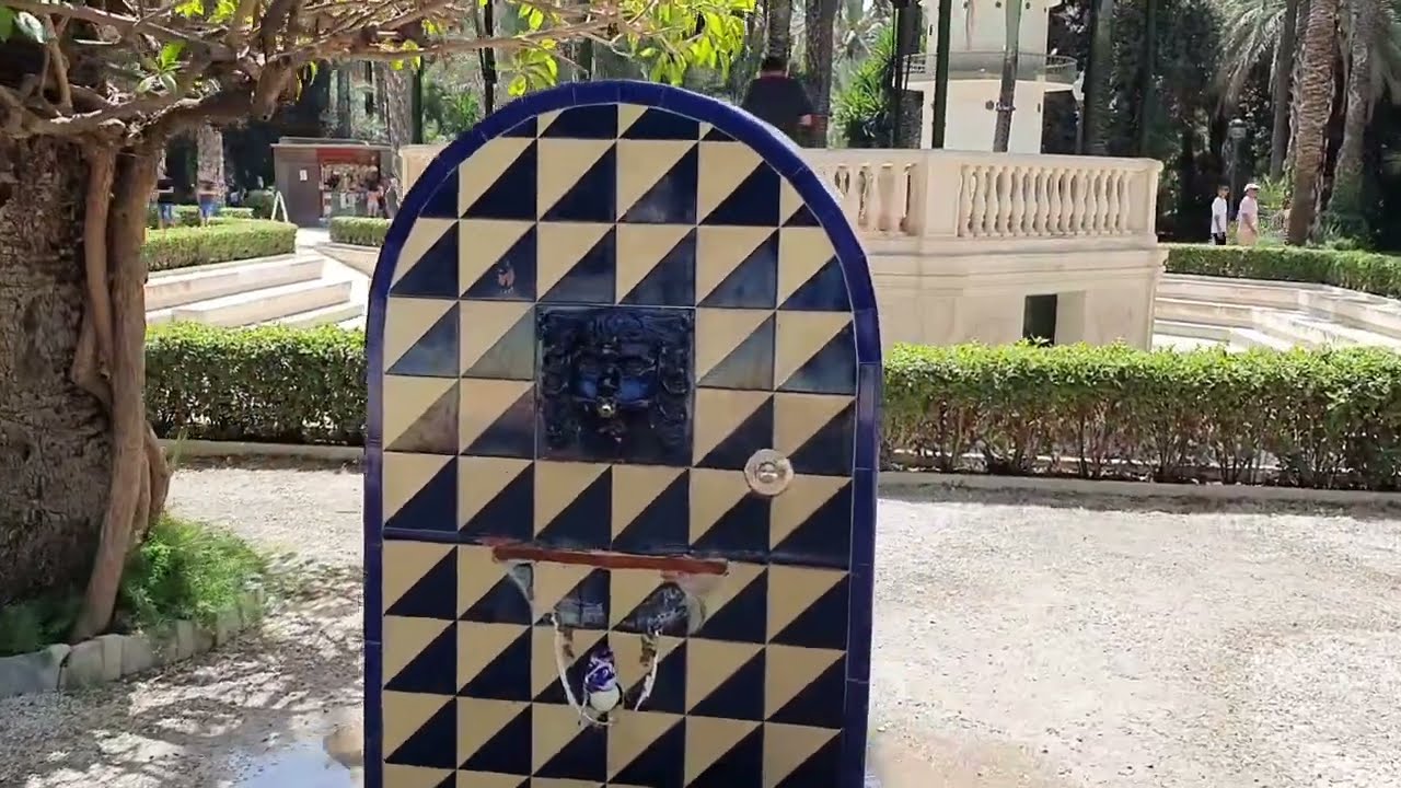 Jak wygląda PALMERAL DE ELCHE?